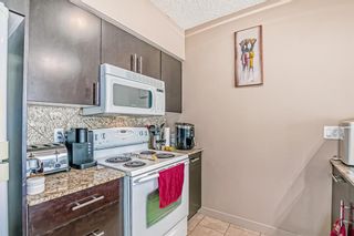 Photo 13: 806 8710 horton Road SW in Calgary: Haysboro Apartment for sale : MLS®# A2013640