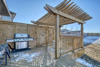 Photo 45: 27 SKYVIEW SPRINGS Cove NE in Calgary: Skyview Ranch Detached for sale : MLS®# A1053175