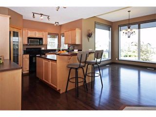 Photo 9: 18 CRYSTAL SHORES Place: Okotoks House for sale : MLS®# C4018955