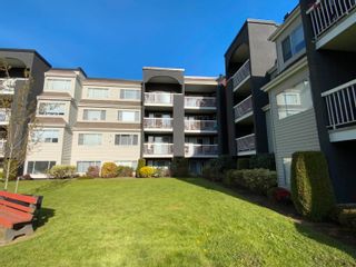 Photo 6: 208 5700 200 Street in Langley: Langley City Condo for sale in "Langley Village" : MLS®# R2875175