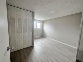 Photo 14: 918 40 Street SE in Calgary: Forest Lawn Semi Detached (Half Duplex) for sale : MLS®# A2132383