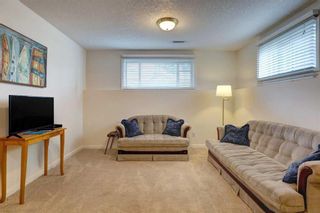 Photo 19: 38 Erin Meadow Crescent SE in Calgary: Erin Woods Detached for sale : MLS®# A2076102
