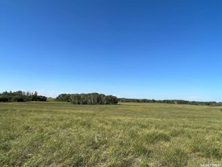 Photo 4: RM of Spyhill Land in Spy Hill: Farm for sale (Spy Hill Rm No. 152)  : MLS®# SK939388
