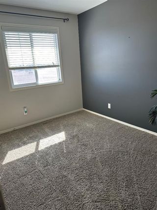 Photo 30: 191 Lynx Road N: Lethbridge Row/Townhouse for sale : MLS®# A2131369