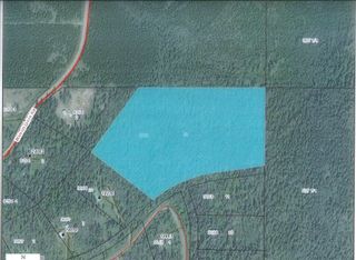 Photo 2: LOT 13 GRANTHAM Road in Smithers: Smithers - Rural Land for sale in "Grantham" (Smithers And Area (Zone 54))  : MLS®# R2604020