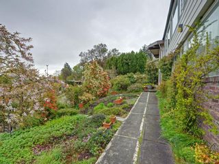 Photo 25: 2497 Sinclair Rd in Saanich: SE Cadboro Bay House for sale (Saanich East)  : MLS®# 901971