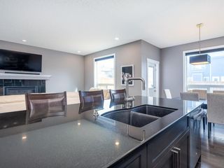 Photo 18: 155 Skyview Shores Crescent NE in Calgary: Skyview Ranch Detached for sale : MLS®# A1110098