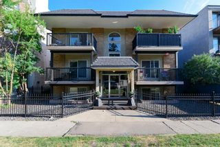 Photo 1: 203 912 19 Avenue SW in Calgary: Lower Mount Royal Apartment for sale : MLS®# A1251094