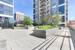 Photo 32: 803 211 13 Avenue SE in Calgary: Beltline Apartment for sale : MLS®# A1217519