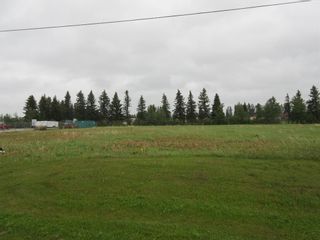 Photo 3: 4819 57 Ave: Eckville Industrial Land for sale : MLS®# A1193687