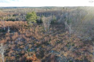 Photo 11: Lot 2 Johnson's Lane in Chance Harbour: 108-Rural Pictou County Vacant Land for sale (Northern Region)  : MLS®# 202324819