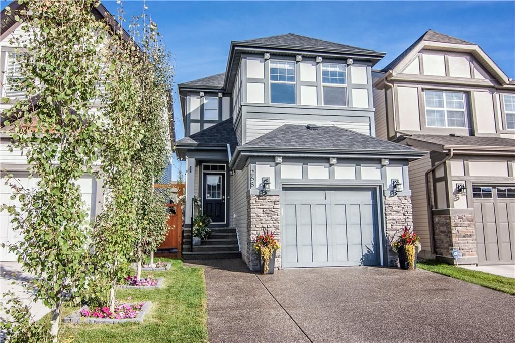 Main Photo: 268 CHAPARRAL VALLEY Mews SE in Calgary: Chaparral Detached for sale : MLS®# C4208291