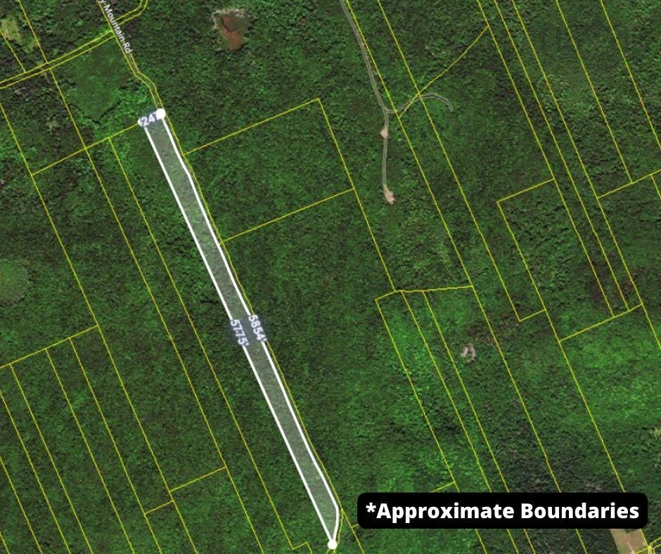 Main Photo: Lot Phinney Mountain Road in Beaconsfield: Annapolis County Vacant Land for sale (Annapolis Valley)  : MLS®# 202222545