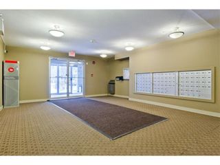 Photo 3: 212 7180 80 Avenue NE in Calgary: Saddle Ridge Apartment for sale : MLS®# A1223527