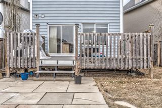 Photo 44: 117 Prestwick Rise SE in Calgary: McKenzie Towne Detached for sale : MLS®# A1242668