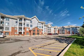 Photo 45: 335 8535 Bonaventure Drive SE in Calgary: Acadia Apartment for sale : MLS®# A2131561