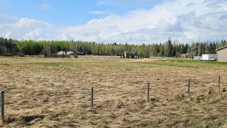 Photo 17: 315 5241 Township Road 325A: Rural Mountain View County Residential Land for sale : MLS®# A2033613