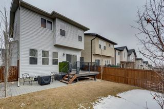 Photo 43: 210 Kincora Glen Road NW in Calgary: Kincora Detached for sale : MLS®# A1189919