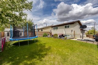 Photo 34: 43 Bernard Close NW in Calgary: Beddington Heights Detached for sale : MLS®# A1219607