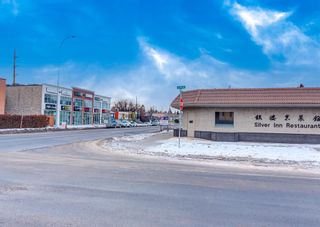 Photo 14: 137 26 Avenue NE in Calgary: Tuxedo Park Detached for sale : MLS®# A2017680