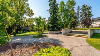 Photo 25: 27B 231 Heritage Drive SE in Calgary: Acadia Apartment for sale : MLS®# A2077886