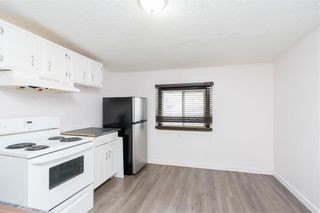 Photo 15: 550 Mountain Avenue in Winnipeg: House for sale : MLS®# 202330156