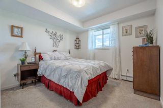 Photo 16: 2309 181 Skyview Ranch Manor NE in Calgary: Skyview Ranch Apartment for sale : MLS®# A2137963