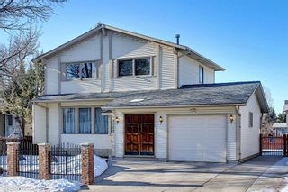 Photo 1: 3711 39 Street NE in Calgary: Whitehorn Detached for sale : MLS®# A1063183