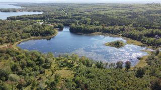 Photo 4: 5025 Little Harbour Road in Little Harbour: 108-Rural Pictou County Residential for sale (Northern Region)  : MLS®# 202129125