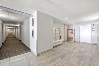 Photo 14: 3111 70 Panamount Drive NW in Calgary: Panorama Hills Apartment for sale : MLS®# A2032767