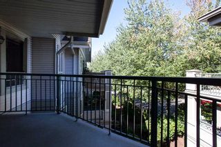 Photo 16: 320 22025 48 Avenue in Langley: Murrayville Condo for sale in "Autumn Ridge" : MLS®# R2192847