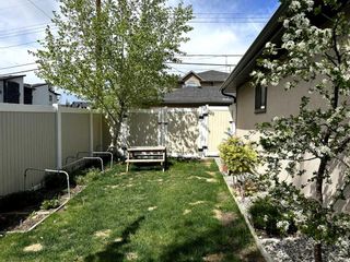 Photo 41: 4538 Montgomery Avenue NW in Calgary: Montgomery Detached for sale : MLS®# A2131411