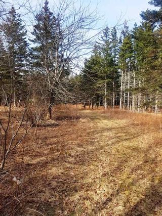 Photo 8: LOT 15 Fundy Bay Drive in Victoria Harbour: 404-Kings County Vacant Land for sale (Annapolis Valley)  : MLS®# 202105997