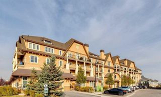 Photo 29: 303 10 Mahogany Mews SE in Calgary: Mahogany Apartment for sale : MLS®# A2132025