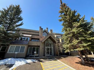 Main Photo: 4 219 Village Terrace SW in Calgary: Patterson Apartment for sale : MLS®# A2122206