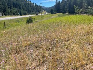 Photo 1: 6935 CARIBOO HWY 97: Clinton Lots/Acreage for sale (North West)  : MLS®# 170158