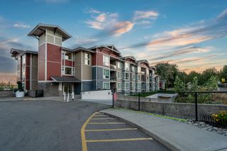 Photo 2: 115 2242 WHATCOM Road in Abbotsford: Abbotsford East Condo for sale in "Waterleaf" : MLS®# R2722263