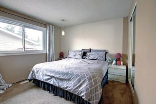 Photo 15: 127 Cedar Ridge Crescent SW in Calgary: Cedarbrae Detached for sale : MLS®# A1230821