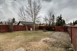 Photo 31: 72 Falton Close NE in Calgary: Falconridge Detached for sale : MLS®# A1205043