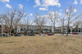 Photo 2: B206 3615 49 Street NW in Calgary: Varsity Apartment for sale : MLS®# A2122298