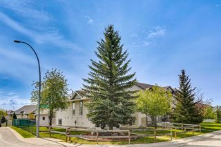 Photo 39: 182 Somerside Grove SW in Calgary: Somerset Detached for sale : MLS®# A2135217
