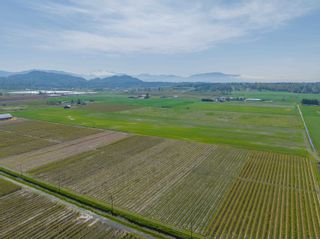 Photo 14: 5157 RIVERSIDE Street in Abbotsford: Central Abbotsford Land Commercial for sale : MLS®# C8051296