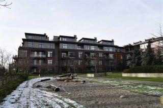 Photo 6: 308 262 SALTER Street in New Westminster: Queensborough Condo for sale in "Portage" : MLS®# R2535228
