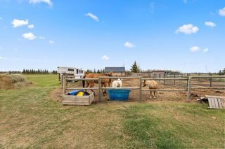 Photo 38: 322062 Range Road 261: Rural Kneehill County Detached for sale : MLS®# A2046999