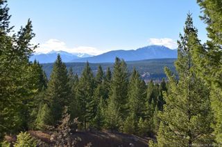 Photo 8: Lot 14 - 7078 WHITE TAIL LANE in Radium Hot Springs: Vacant Land for sale : MLS®# 2466383