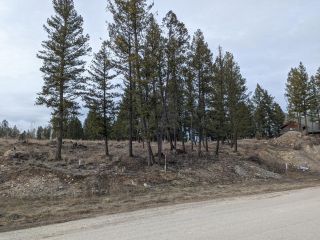 Photo 4: 2480 CASTLESTONE DRIVE in Invermere: Vacant Land for sale : MLS®# 2467803
