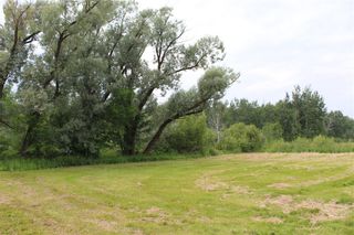 Photo 7: 44087 33 N Road in La Broquerie: Vacant Land for sale : MLS®# 202319775