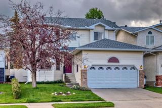 Main Photo: 386 Millrise Drive SW in Calgary: Millrise Detached for sale : MLS®# A2135188