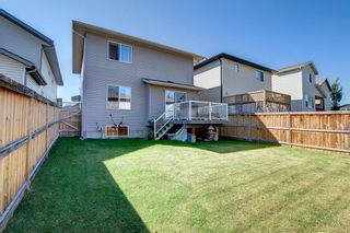 Photo 45: 153 Panamount Heath NW in Calgary: Panorama Hills Detached for sale : MLS®# A1251508