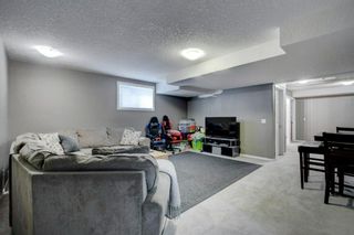 Photo 24: 26 Elgin Park Common SE in Calgary: McKenzie Towne Detached for sale : MLS®# A1232369